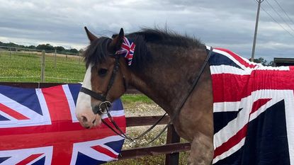 hovis-flag-two.jpg