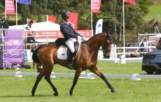 Blair dressage results