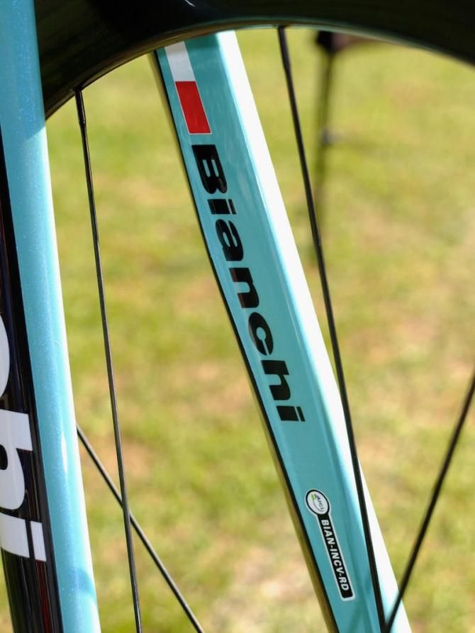UCI approval label on the inner fork leg, plus subtle curves on the trailing edge