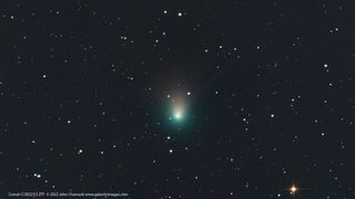 Green comet in a sea of stars