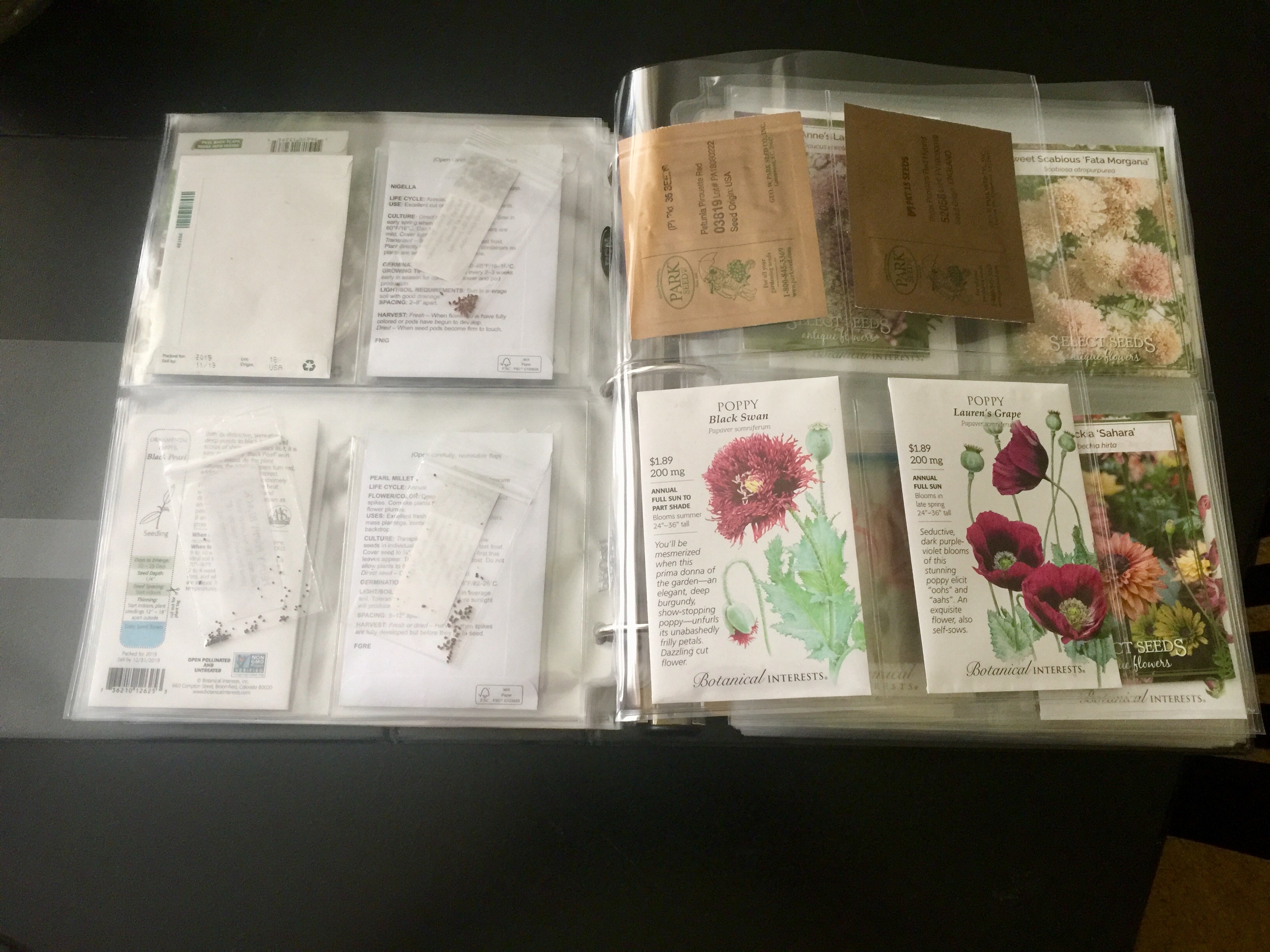 Simple Way to Organize and Store Seeds · Hidden Springs Homestead