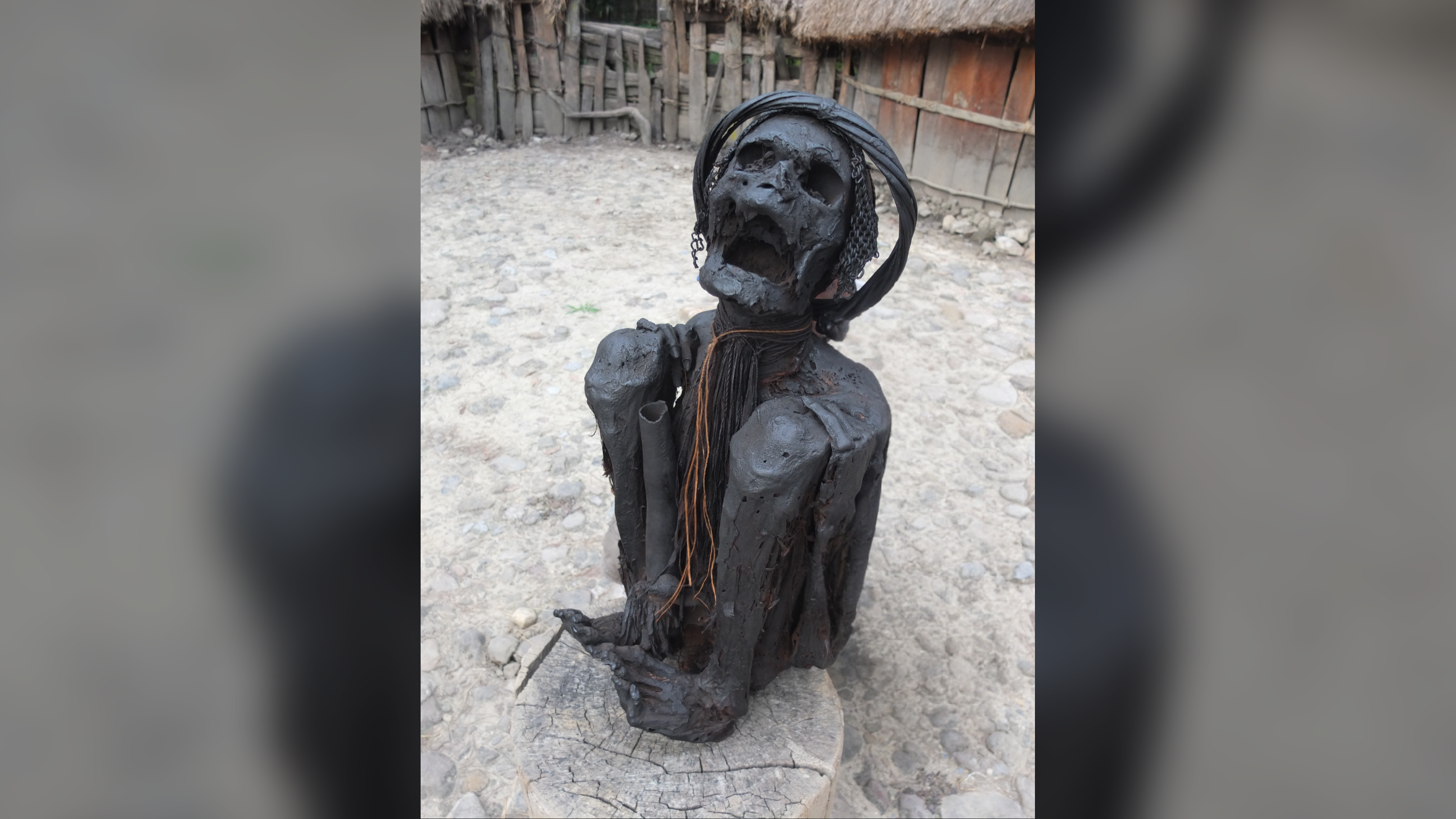 a human mummy that is mostly black in color sits tightly flexed on a tree stump