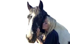 Are horses affected by your tone of voice?