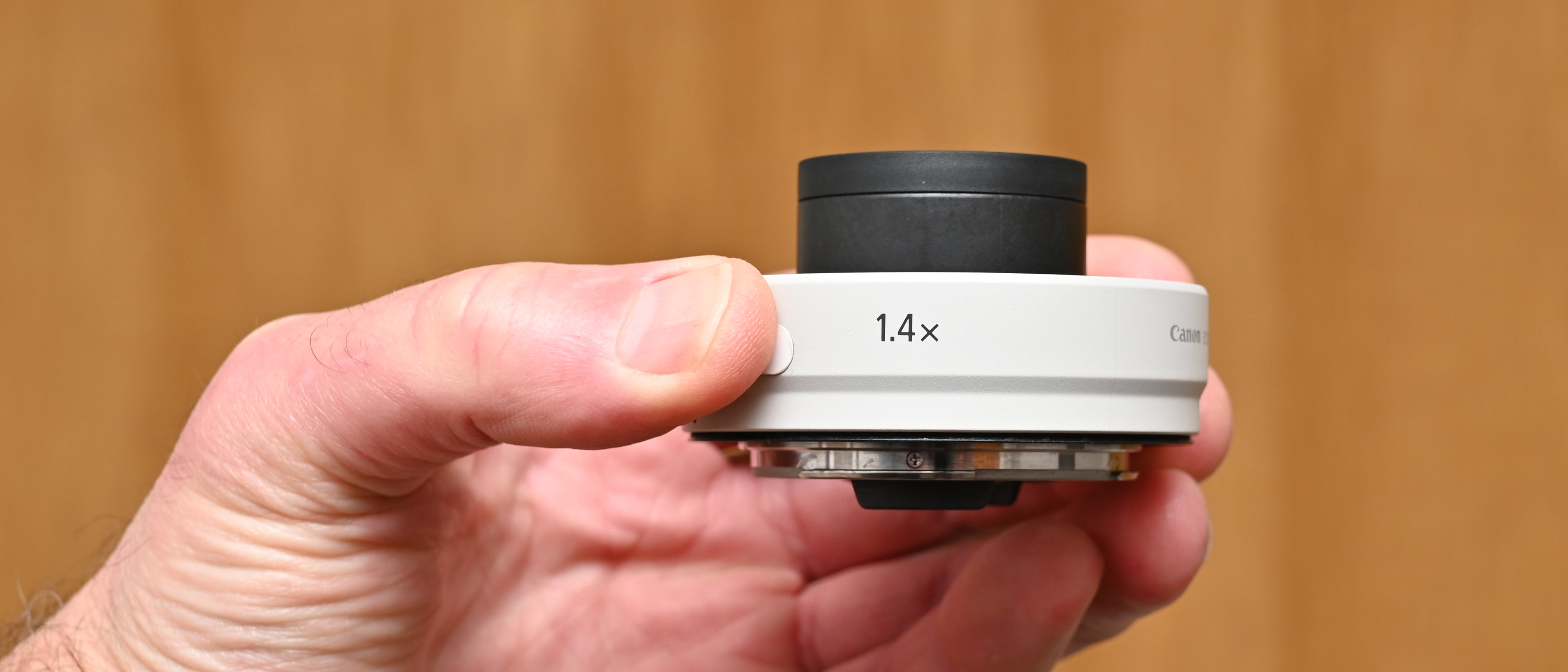 Canon Extender RF 1.4x review: a revamped teleconverter for the 