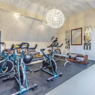 home gym with mirror and spin bike