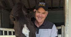 Alan-and-Valegro-slim-1400x744-1.jpg