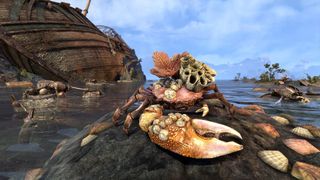barnicle covered crab sits on rock