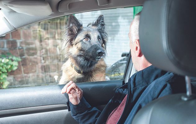 Darren Osborne And Jack Osborne Are Trapped In Their Car by a Vicious Dog in Hollyoaks.