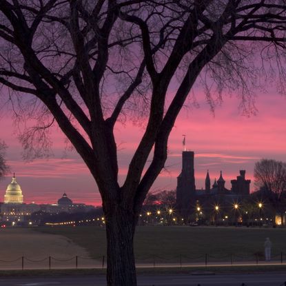 Washington DC Sunrise