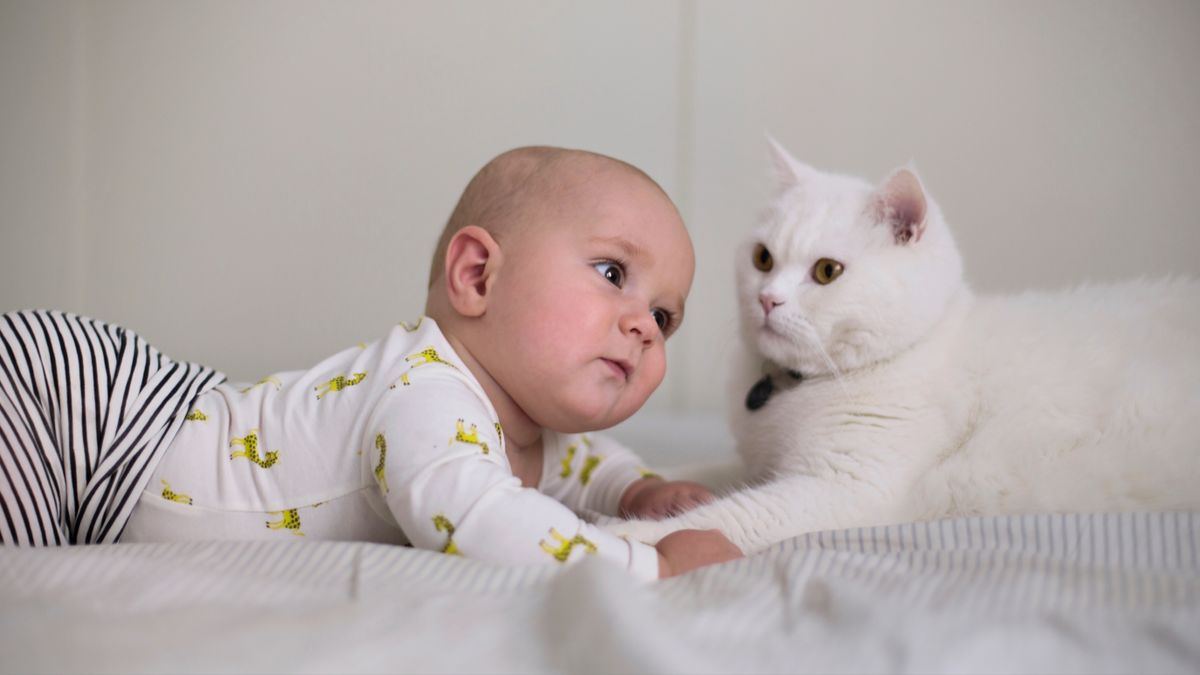 Baby and cat