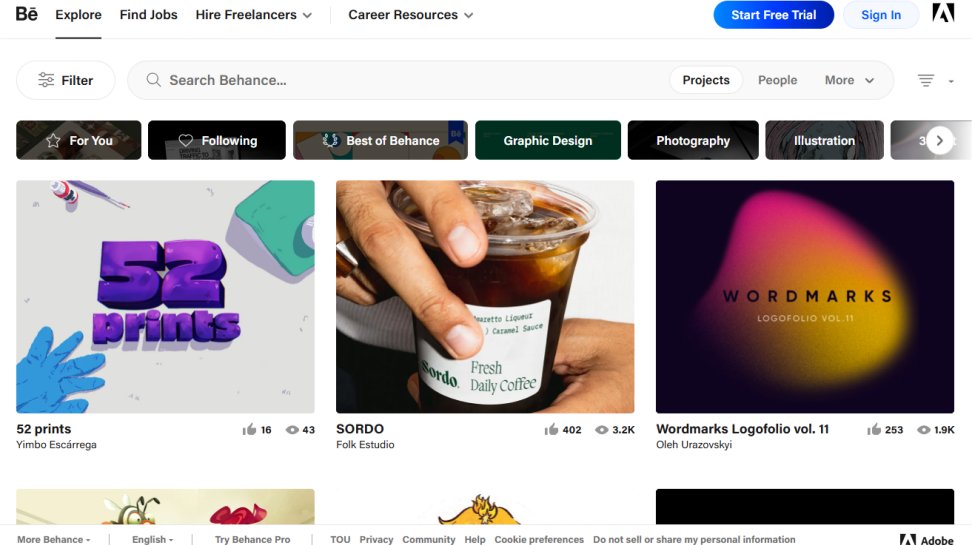 Behance website screenshot (June 2025).