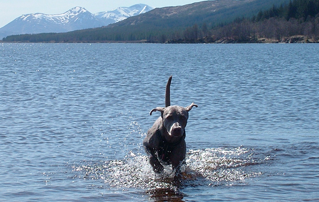 Frannoch Moor-Loch Laidon