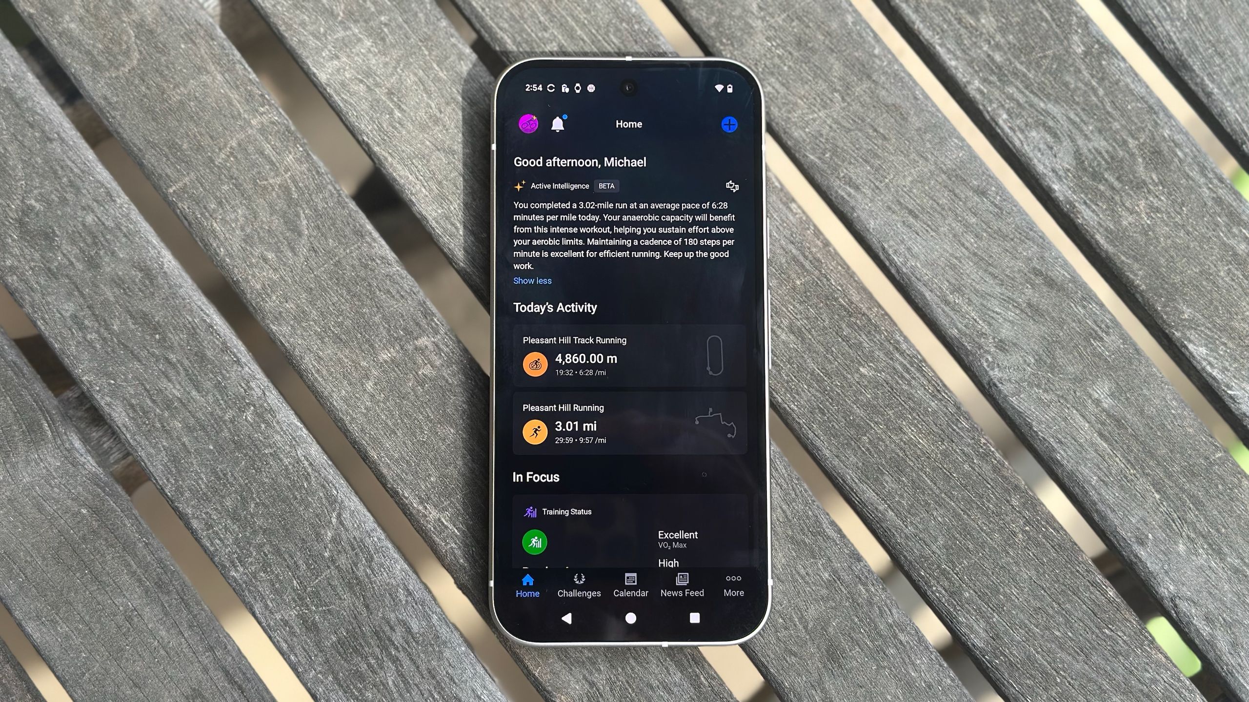 Garmin Connect Plus in-depth hands-on: Much more than an AI ...