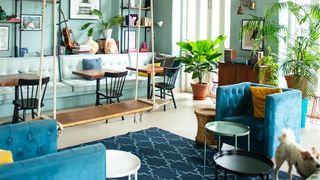 Relaxed space with sofas, armchairs, a swing, pot plants and lots of light coming through large windows