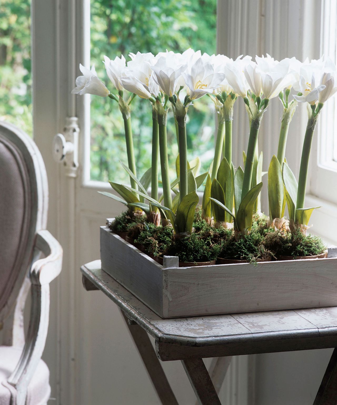 Floral trends 2021 the chic new ways to bring the outside into your
