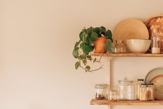 A cream wall with a pair of modern wooden kitchen shelves hung up and decorated with plants, jars, bowls, and more.