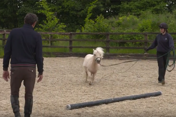 Pamela-World-Horse-Welfare.jpg