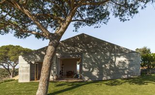 Beach house with large tree outside