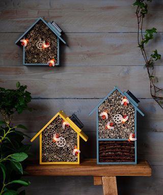 LED Solar insect house, £24, Ella James