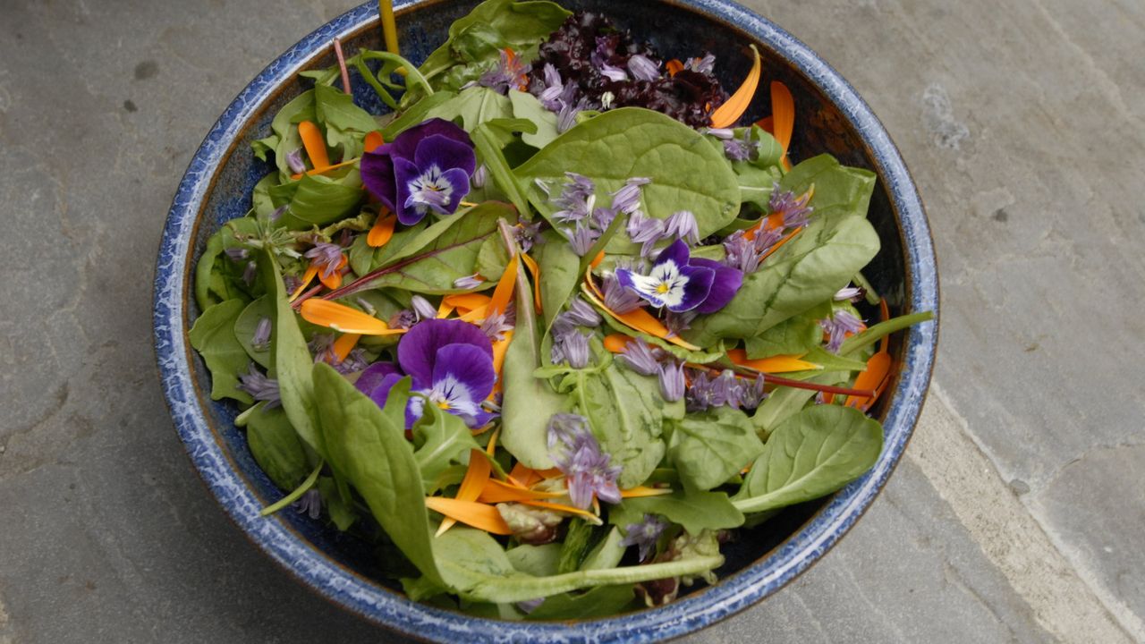 A salad bowl with edible flowers as decoration on a wooden table