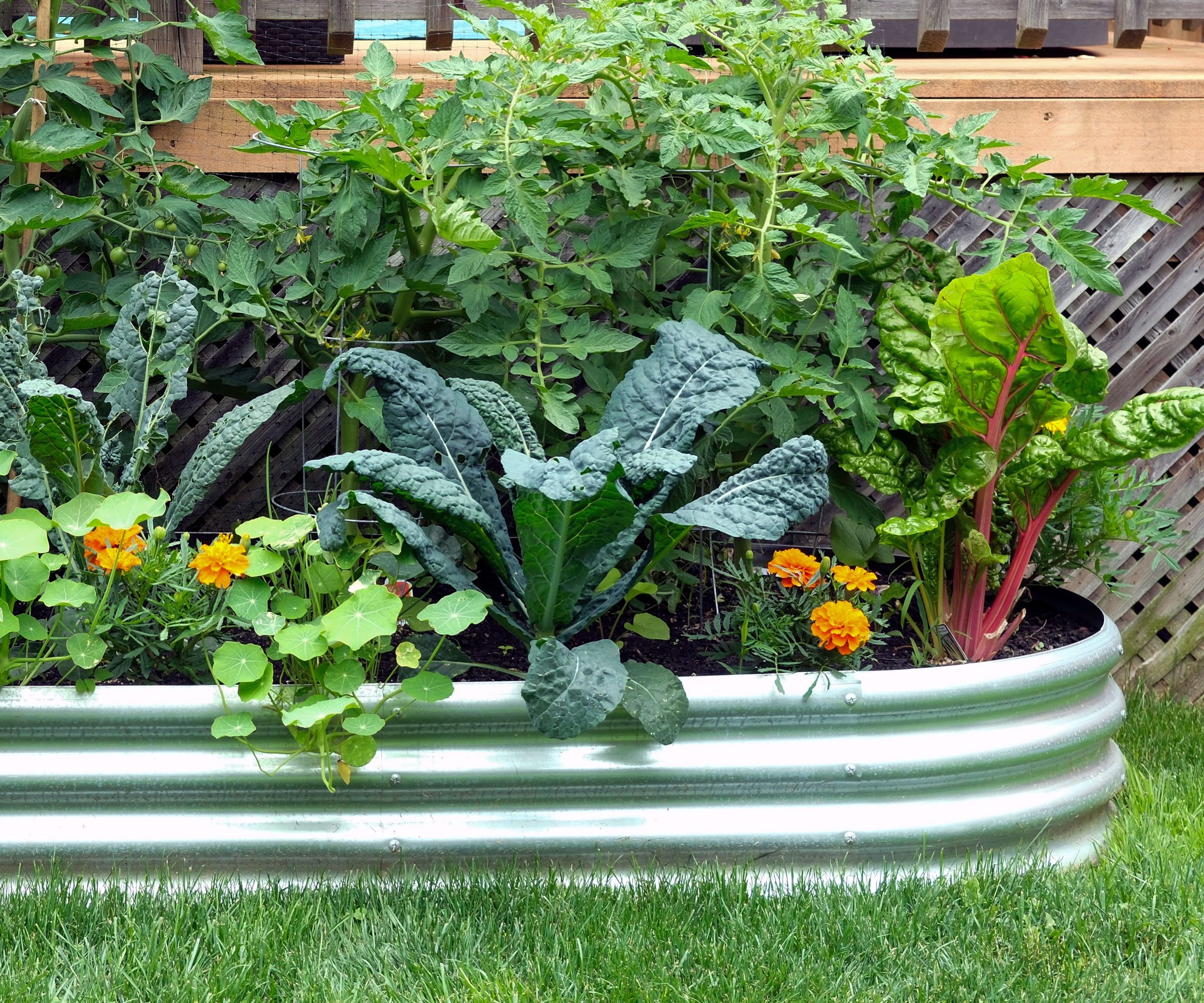 vegetables and flowers in large container