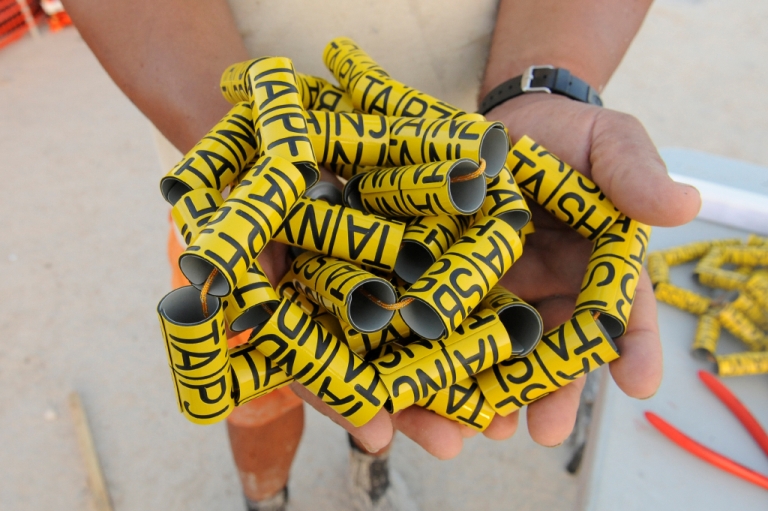 Bands used to track young flamingos