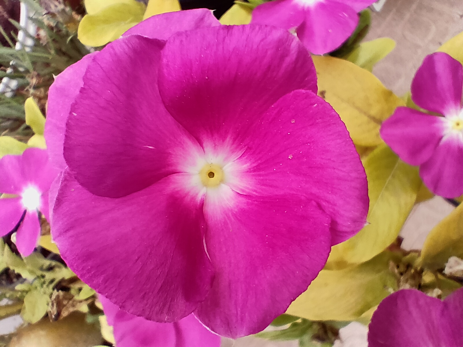 Realme GT M.E. Macro
