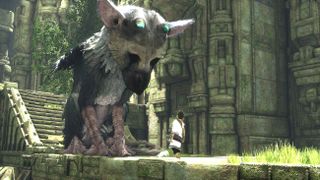 Taking care of Trico can be a real test of your patience, but it's worth the effort