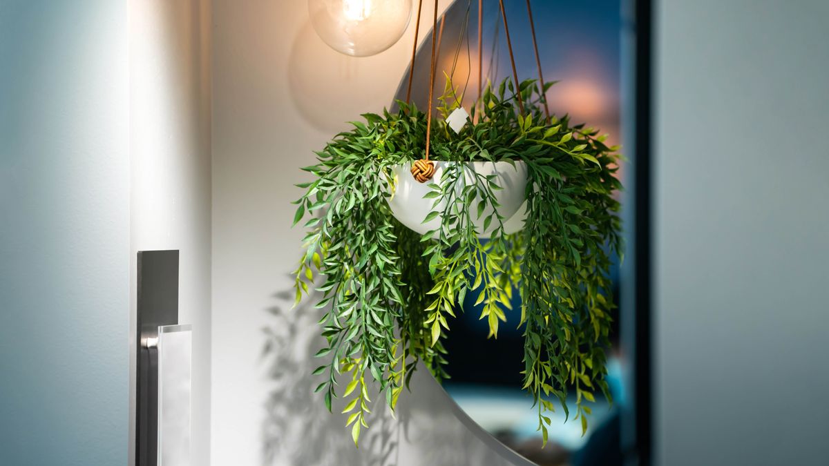 7 ways to make your fake plants look more real Tom's Guide