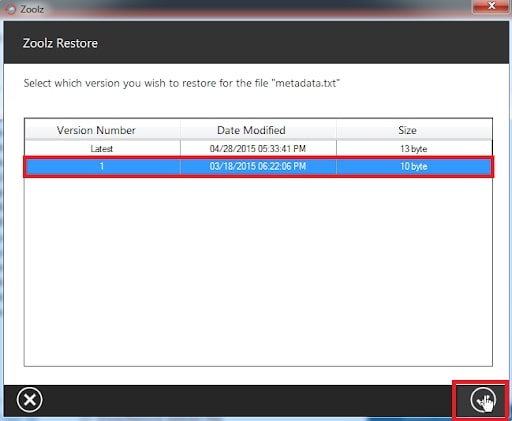 Zoolz' user interface showing previous file versions