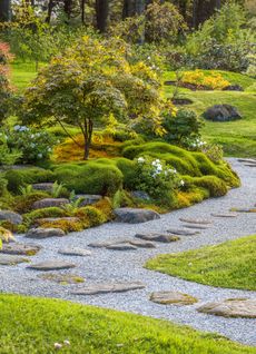 Stepping stones in the dry garden, which contains 26 different species of moss. The Japanese Garden at Cowden, Clackmannanshire. ©Clive Nichols