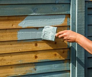 Painting a wooden fence with a light blue paint