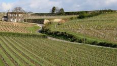 St Emilion