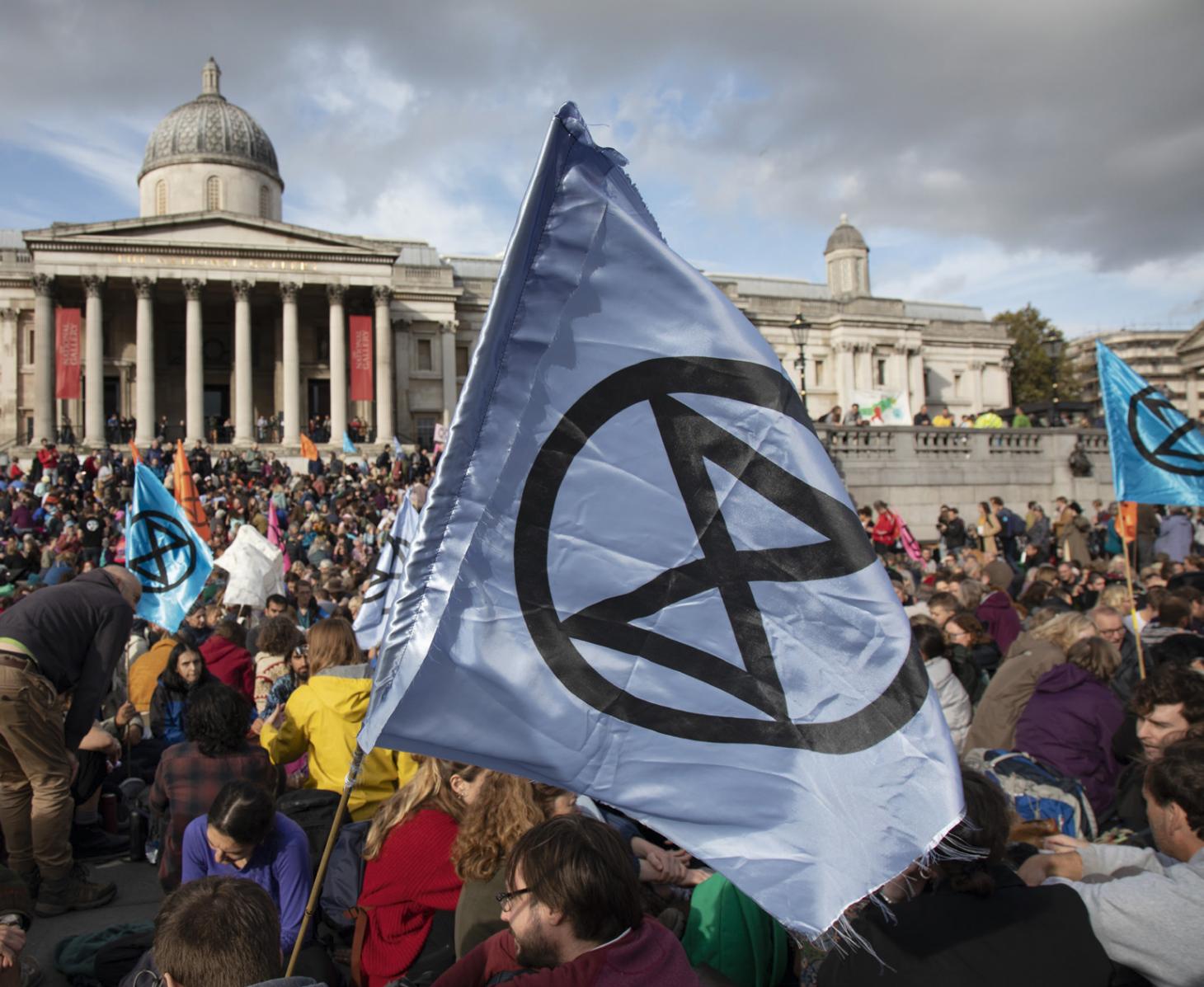 A blue flag during protests