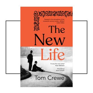 The New Life by Tom Crewe book cover