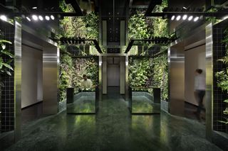 Vertical garden