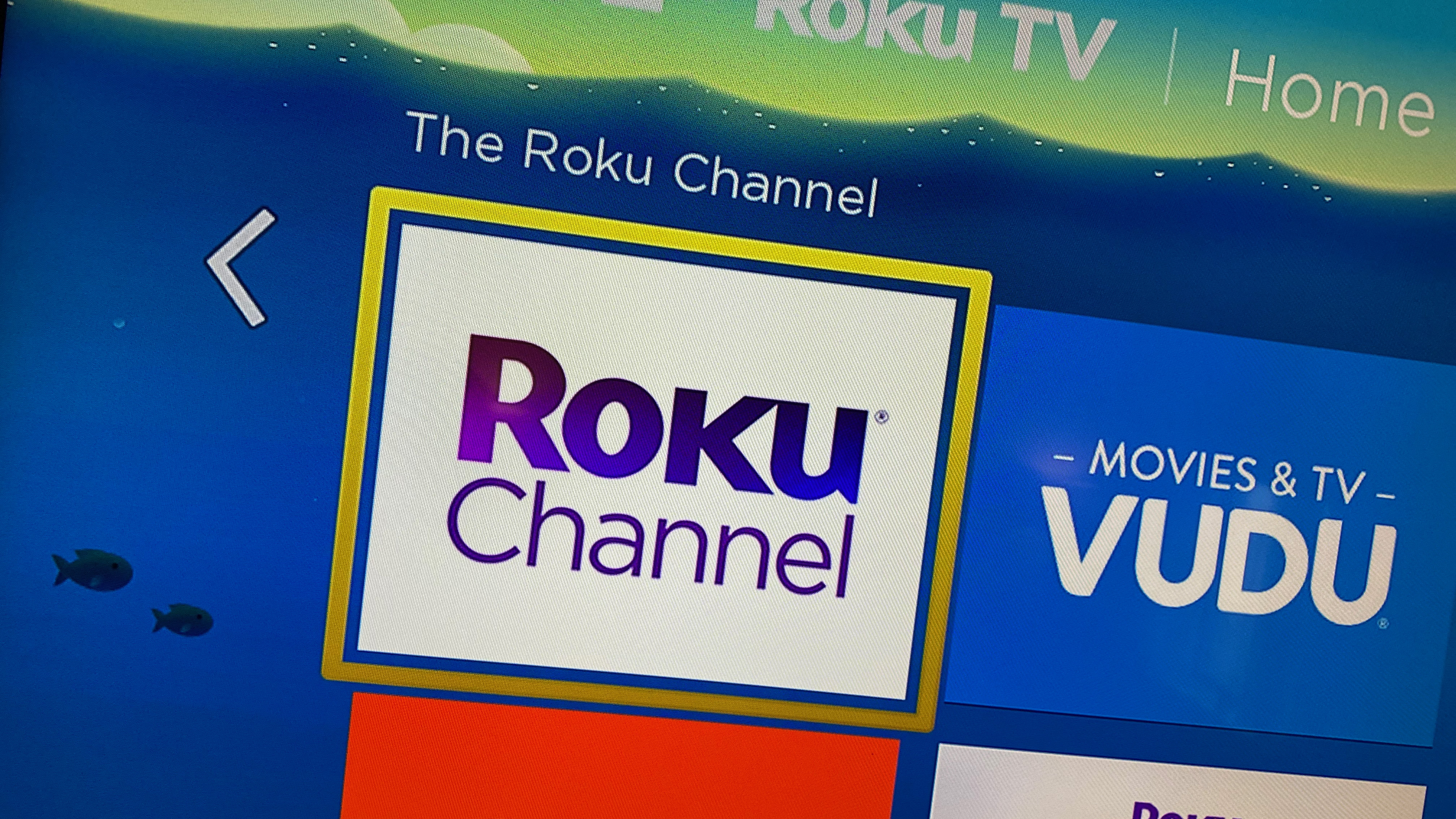 The best movies on The Roku Channel What to Watch