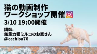 Adobe Japan Cat contest