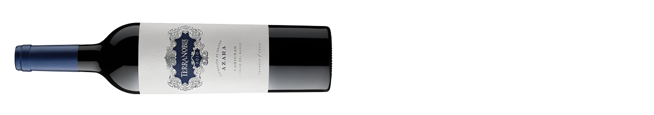 Vina-Terranoble-Azara-Carignan-2022.jpg