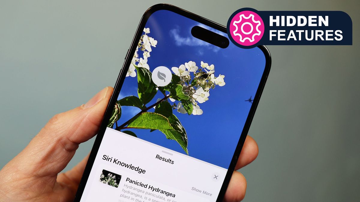 iPhone's Visual Lookup is now my green thumb companion | TechRadar