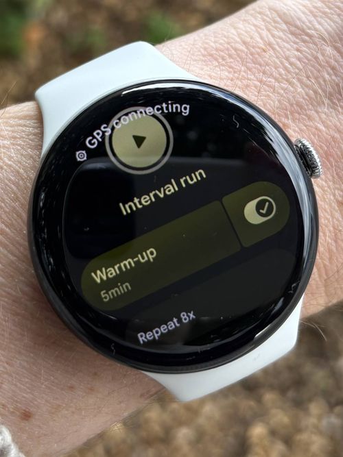 Pixel Watch 5