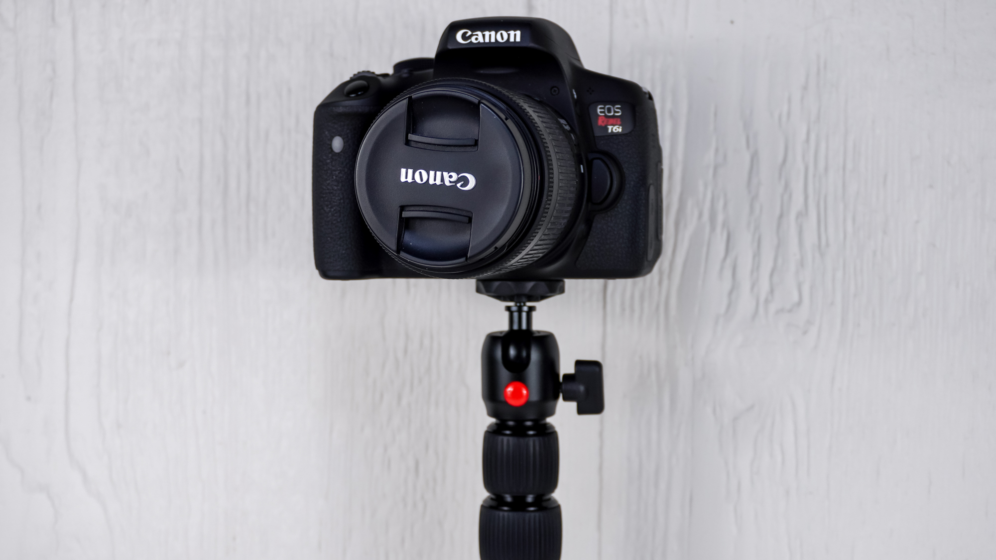 The SmallRig Camera Desk Mount holding up a large Canon DSLR camera on the back of a tabe