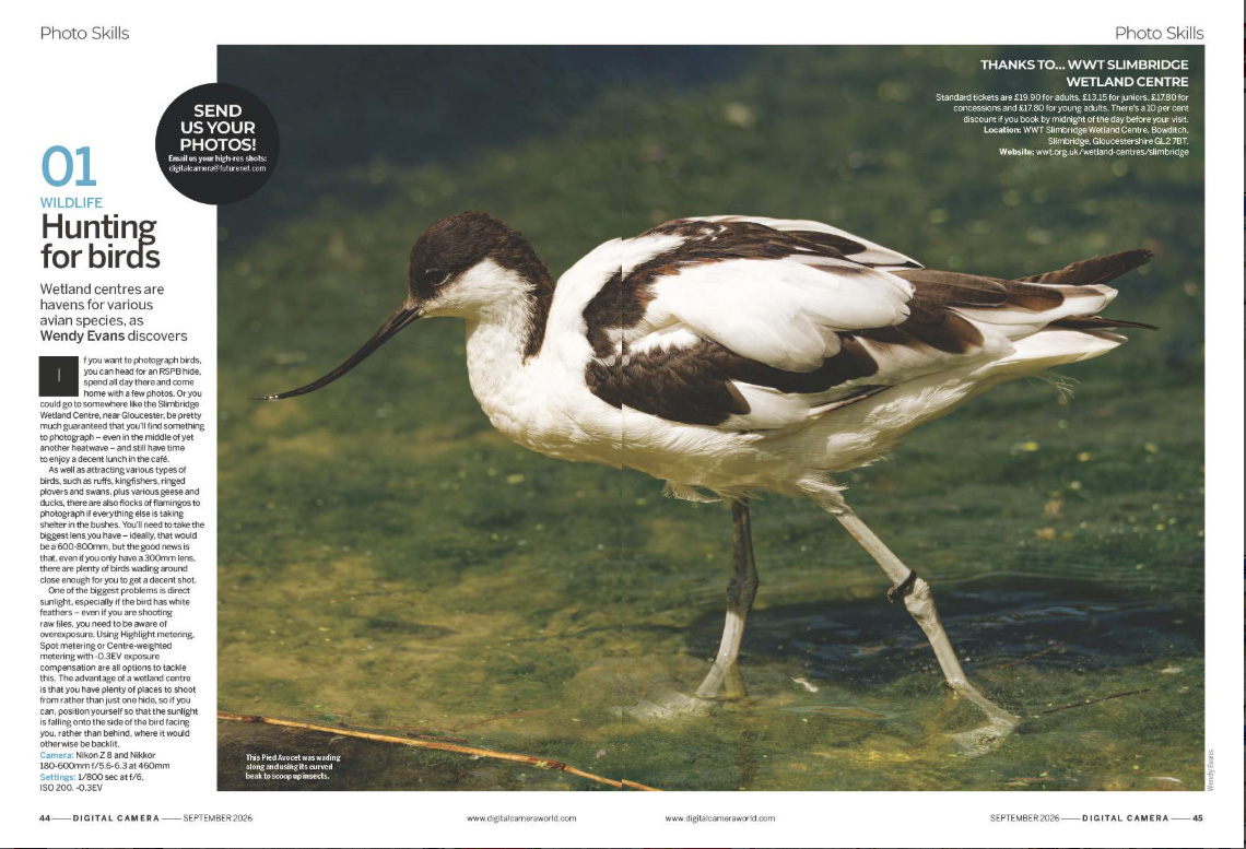 Image showing the first two pages of a Photo Skills project in issue 311 (September 2026) of Digital Camera magazine, how to photograph birds at a wetlands centre