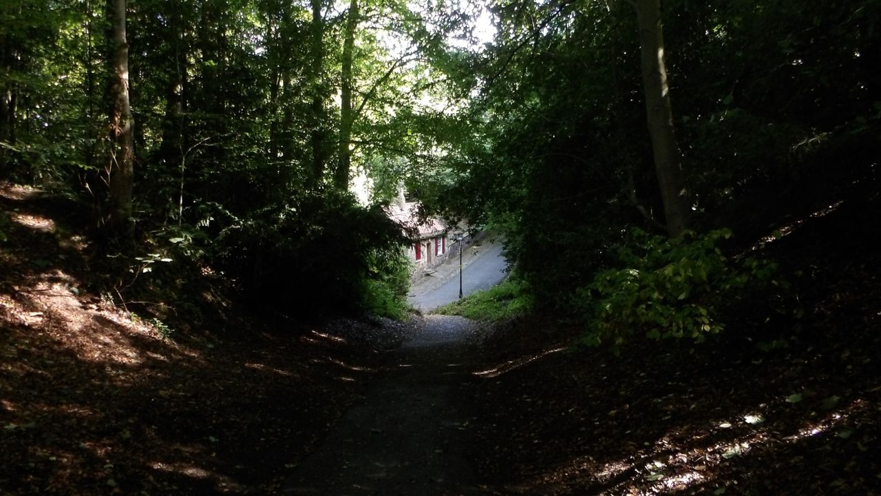 Images taken with the Kodak PixPro AZ653 bridge camera