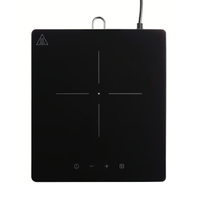 Ikea TILLREDA Portable Induction Cooktop