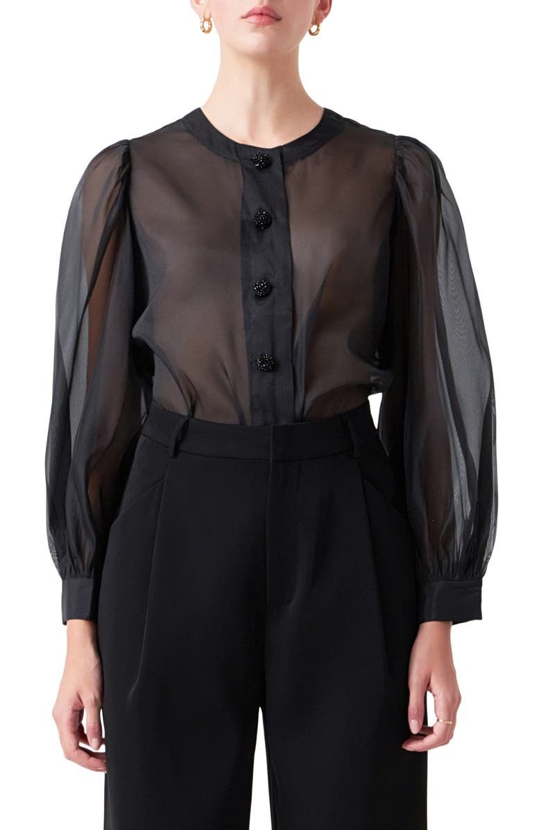 Sheer Organza Top