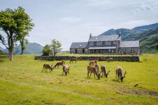 Klchoan Estate, Inverness-shire.