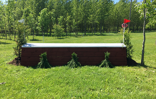 Fence 16