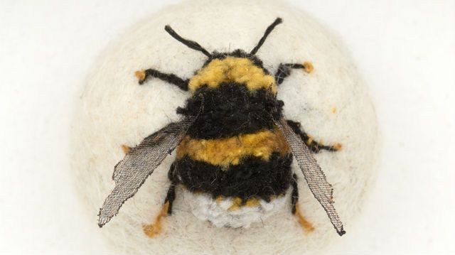 bumblebee bug ball