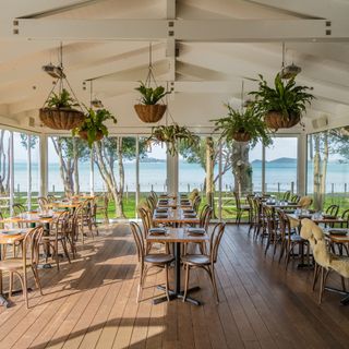 waiheke island new zealand guide